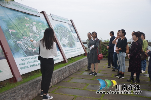 泸县太伏镇开展2019年人大代表视察活动(图1)