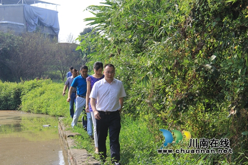 张学彬督导泸县云龙镇河长制工作(图3)
