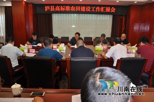 农业农村部调研泸县高标准农田建设(图1)