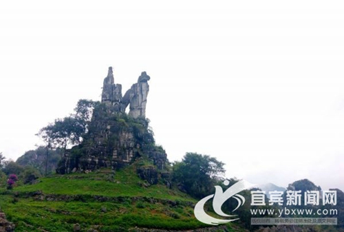 国庆放假哪里玩？宜宾这些“海”等你来(图3)