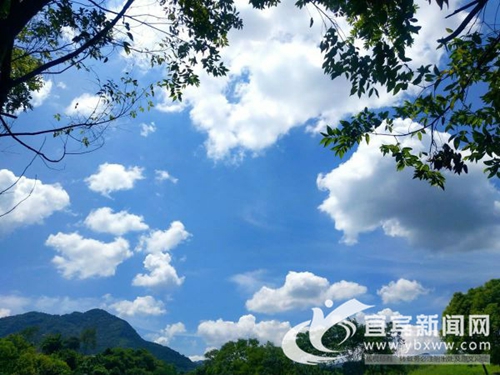 国庆放假哪里玩？宜宾这些“海”等你来(图4)