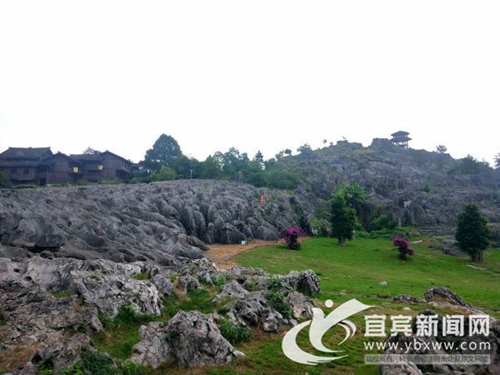 国庆放假哪里玩？宜宾这些“海”等你来(图6)