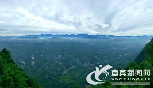 国庆放假哪里玩？宜宾这些“海”等你来(图14)