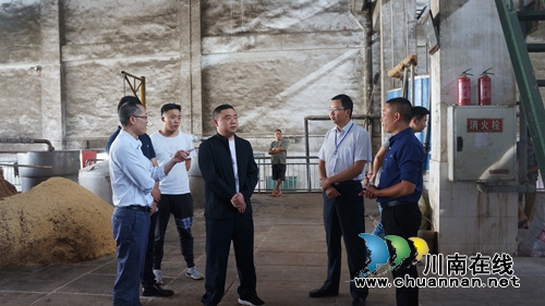 李盛春率队到泸县立石镇督导“防风险、保平安、迎大庆”相关安全工作(图3)