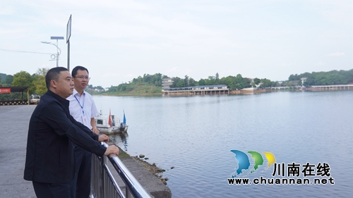 李盛春率队到泸县立石镇督导“防风险、保平安、迎大庆”相关安全工作(图4)