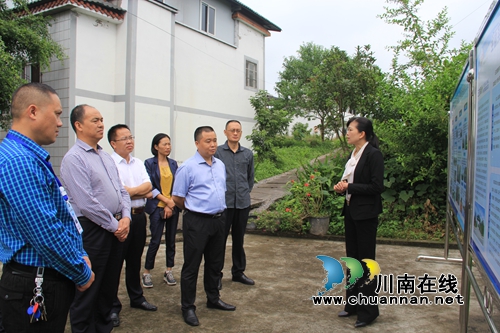 苟明强到泸县云龙镇调研伏耳村人居环境整治工作(图1)