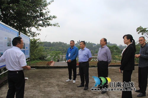 苟明强到泸县云龙镇调研伏耳村人居环境整治工作(图3)