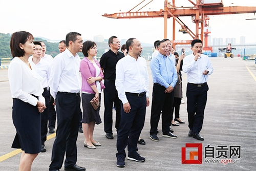 自贡市长何树平率队赴泸州学习考察自贸区建设(图1)