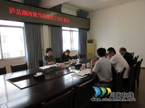 陈佳到泸县潮河镇开展节前安全检查并督导当前重点工作(图8)