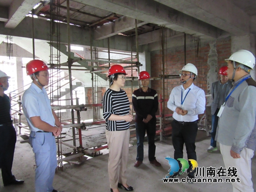 陈佳到泸县潮河镇开展节前安全检查并督导当前重点工作(图4)