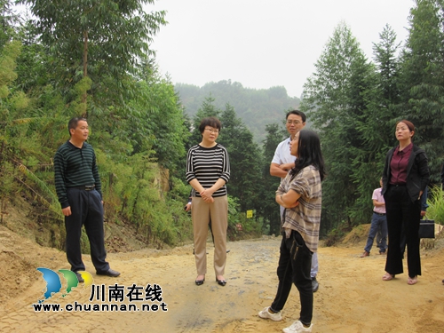 陈佳到泸县潮河镇开展节前安全检查并督导当前重点工作(图5)