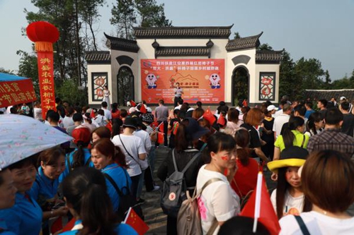 宜宾江安举行柿子节&nbsp;新样板省级脱贫村等你来(图1)