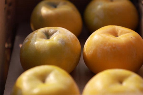 宜宾江安举行柿子节&nbsp;新样板省级脱贫村等你来(图4)