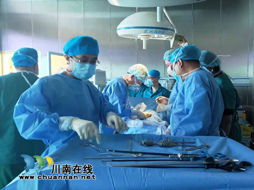 泸州对口帮扶甘孜州乡城县进入收获季(图8)