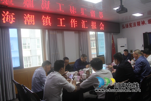 泸县代理县长曹阳到海潮镇听取工作汇报(图1)
