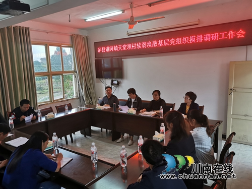 陈佳到泸县潮河镇调研排查软弱涣散基层党组织工作(图2) 陈佳到泸县潮河镇调研排查软弱涣散基层党组织工作(图2)