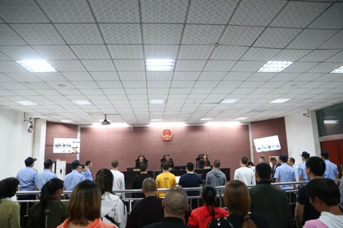 纳溪：2起涉恶势力集团及“保护伞”犯罪遭起(图1)