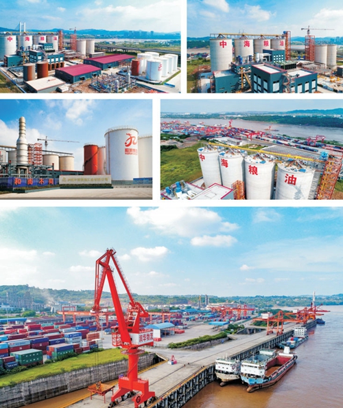 自贸试验区川南临港片区再添“保税仓库”(图1)