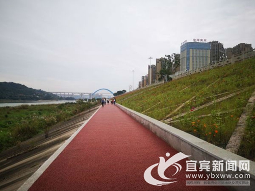 有花海有3D彩绘 升级后的宜宾滨江公园安逸!(图2) 有花海有3D彩绘 升级后的宜宾滨江公园安逸!(图2)