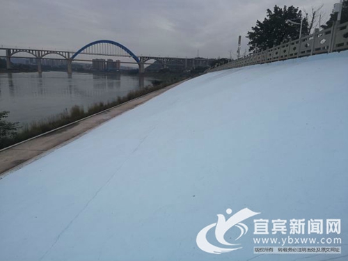 有花海有3D彩绘 升级后的宜宾滨江公园安逸!(图4) 有花海有3D彩绘 升级后的宜宾滨江公园安逸!(图4)