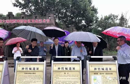 四川省文旅厅副厅长王毅调研泸州文物保护工作(图2)