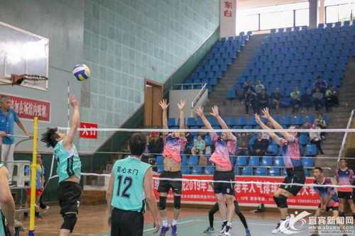 2019宜宾市中老年人气排球比赛火热开赛(图2) 2019宜宾市中老年人气排球比赛火热开赛(图2)