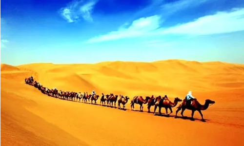国际化!国家级!西南医大中医院好戏连台?(图2) 国际化!国家级!西南医大中医院好戏连台?(图2)