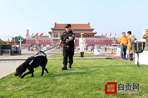 自贡民警携警犬为国庆庆祝活动保驾护航(图3)