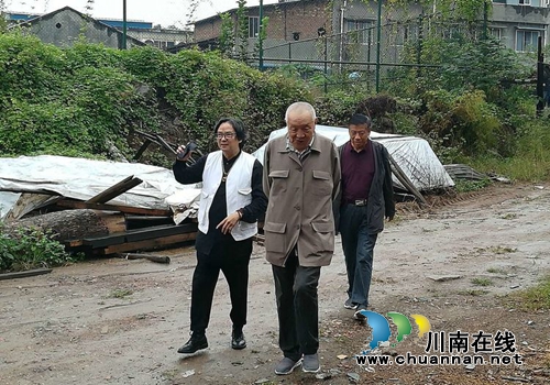 老厅长老市长老社长都来泸州“楠域奇缘”了(图13)