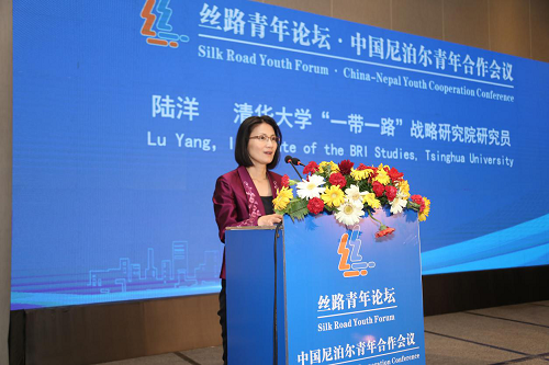 丝路青年论坛·中国尼泊尔青年合作会议举行(图6)