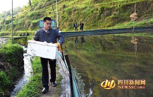 泸州古蔺山区青年返乡创业&nbsp;为扶贫“造血”(图1)