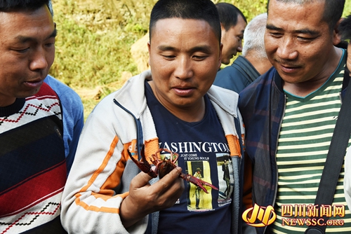 泸州古蔺山区青年返乡创业&nbsp;为扶贫“造血”(图2)