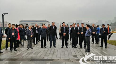 各地决策咨询专家点赞宜宾双城建设产业发展(图2)