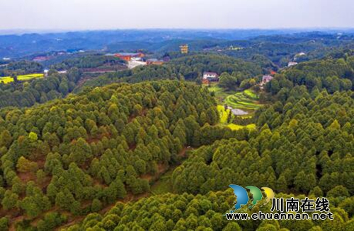 四川第五届森林康养年会将在宜宾叙州区举办(图2)