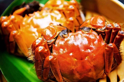 秋风吹来蟹香&nbsp;肥美一只难求(图5)