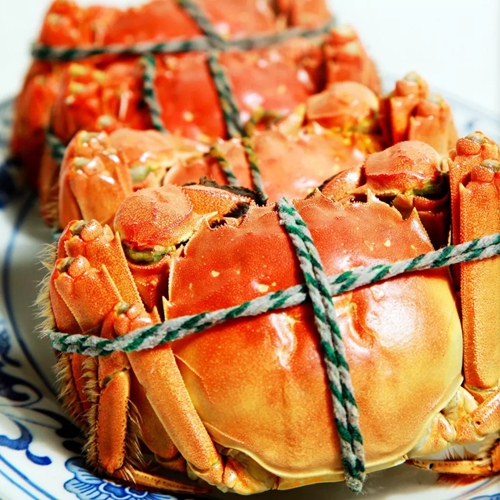 秋风吹来蟹香&nbsp;肥美一只难求(图6)