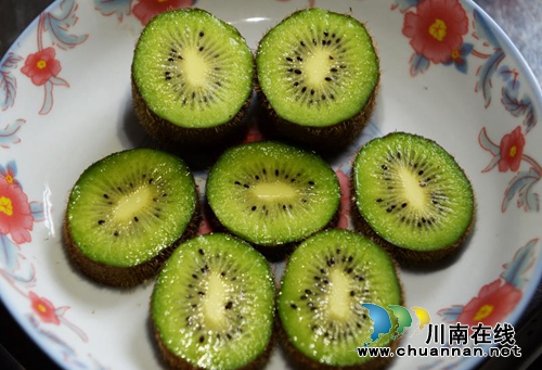 古蔺县东新镇将举办第三届西南猕猴桃音乐节(图4)