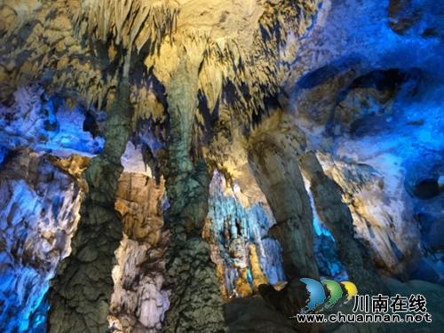 古蔺县东新镇将举办第三届西南猕猴桃音乐节(图7)