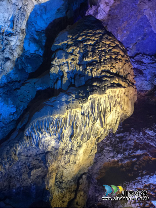 古蔺县东新镇将举办第三届西南猕猴桃音乐节(图8)