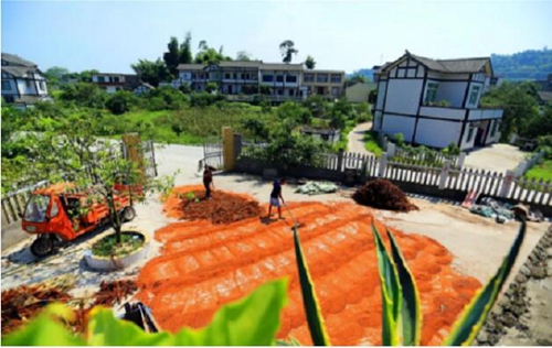 泸州市获得省级财政粮食大市奖励资金(图1)