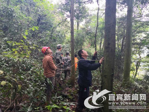 宜宾：父子挖笋发生意外&nbsp;全镇党员干部搜救(图3)