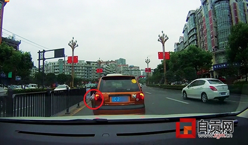 行驶途中往车外丢猫&nbsp;自贡司机被罚200元记2分(图1)