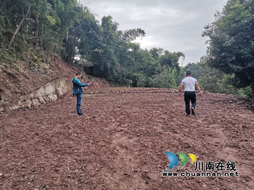 泸县宅基地有偿退出复垦验收组到云龙镇开展验收工作(图2) 泸县宅基地有偿退出复垦验收组到云龙镇开展验收工作(图2)