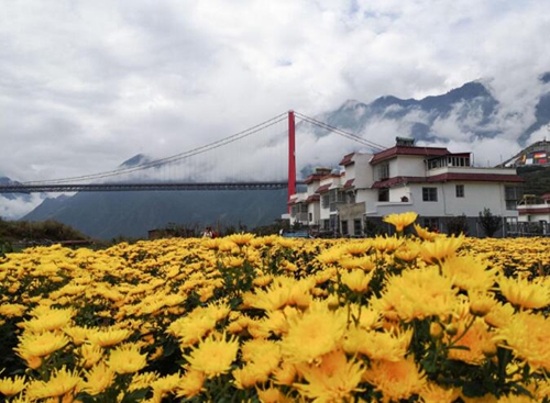 大渡桥横天路“短”(图9)