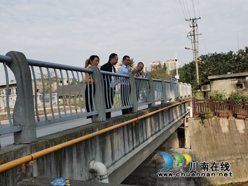 龙马潭区红星街道召开玉带河河长制工作推进会(图2)