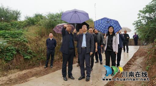 自然资源部、省自然资源厅调研泸县农村土改(图1)