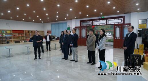 自然资源部、省自然资源厅调研泸县农村土改(图2)