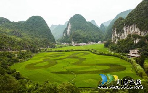 宜宾：森林康养悄然崛起&nbsp;川黔两省合作发展(图3)