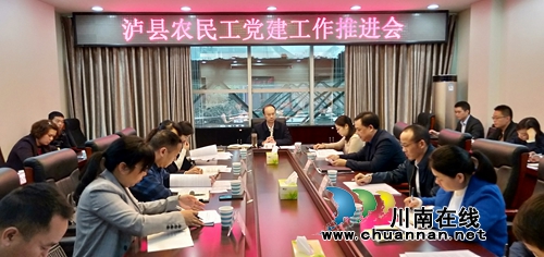 泸县召开农民工综合党委工作推进会(图1)