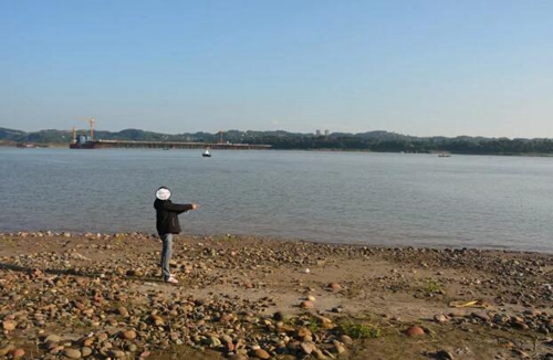 泸州破获一起非法猎捕珍贵、濒危野生动物案(图2) 泸州破获一起非法猎捕珍贵、濒危野生动物案(图2)